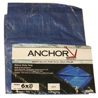 ANCHOR 11009 10FTX16FT POLY T