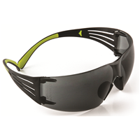 3M™ SecureFit™ Protective Eyewear SF402A
