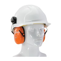 Head Protection